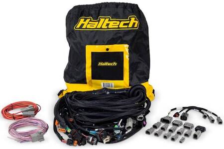 Haltech Nexus R5 LSx DBW Terminated Harness