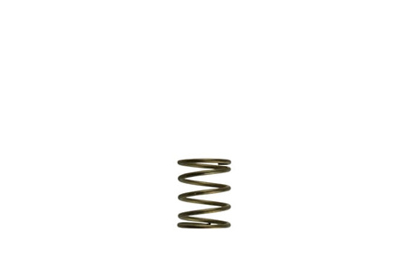 Turbosmart Wastegates ventil Gen-V WG45/50 3psi Orange Inner Spring