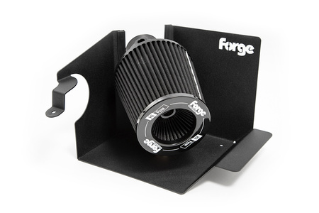 Ford Fiesta ST MK8/Ford Puma ST Sada sání