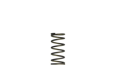 Turbosmart Wastegates ventil Gen-V WG60 5psi Purple Inner Spring