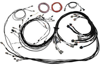 Haltech Uni V8 Term Engine Harness pro Nexus R5 VCU - HT-186200
