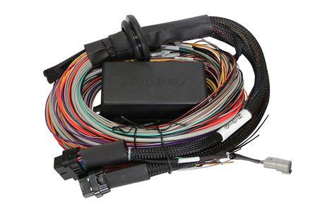 Haltech Elite 1500 + Premium Uni Wire-in Harn Kit 5,0m (16?) - HT-150905