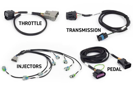 Haltech ECU Nexus Rebel LS Gen IV do LS od GM