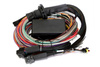 Haltech Elite 2500 + Premium Uni Wire-in Harn Kit 5,0m (16?) - HT-151305