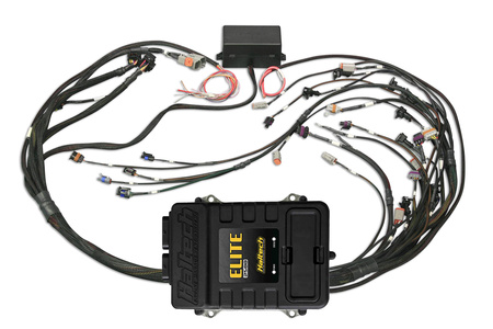 Haltech Elite 2500 GM GEN III LS1 non DBW Term Harn Kit EV1 - HT-151360