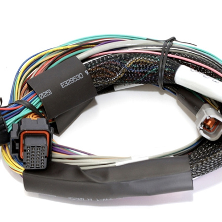 Haltech Elite 1000 - 2,5 m základní drátěný postroj - HT-140802