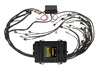 Haltech Elite 2500 GM GEN III LS1 non DBW Term Harn Kit EV1 - HT-151360