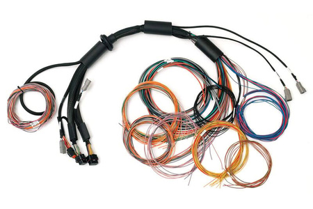 Univerzální kabelový svazek Haltech Nexus R3 – 2,5 m (8&#39;)