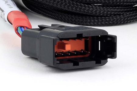 Haltech Nexus V8 Junior Timer (EV1)Přerušení sekundárního vstřikovače - HT-186001