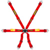 Pásy Schroth Enduro 2x2