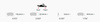 Přední brzdová destička Ferodo Racing DS3.12 FRP219G PEUGEOT 206 SUBARU Impreza