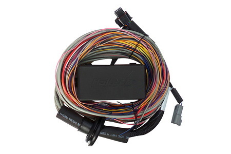 Haltech Elite 750 + Premium Uni Wire-in Harn Kit 2,5 m - HT-150604