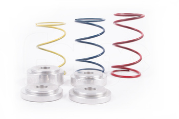 FMDVRAYV2 Sada pružin