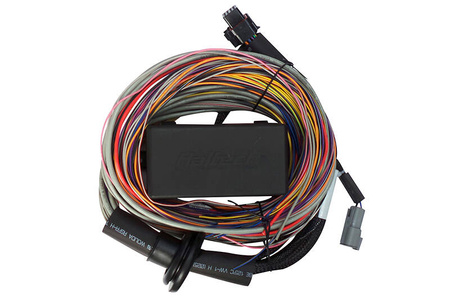 Kabelový svazek Haltech Elite 750 Premium Uni Wire-in 2,5 m (8&#39;)