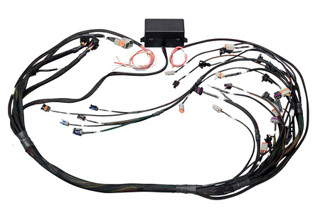 Haltech Elite 2000/2500 GM GEN IV LS2 bez DBW Pouze termínový kabel - HT-141364