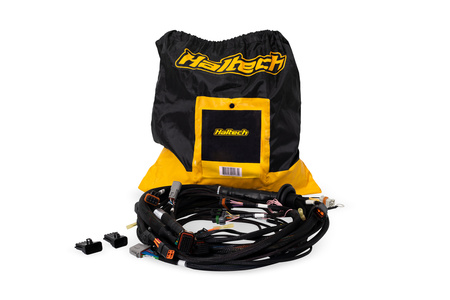 Koncový svazek Haltech Nexus Rebel LS pro řídicí jednotku Rebel LS - HT-186500