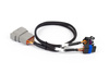 Haltech Nexus Rebel LS - kabelová škrticí klapka + dílčí svazek IAC - HT-186504