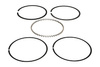 Sada pístních kroužků Wiseco (Automotive 1 Set For 1 Piston)
