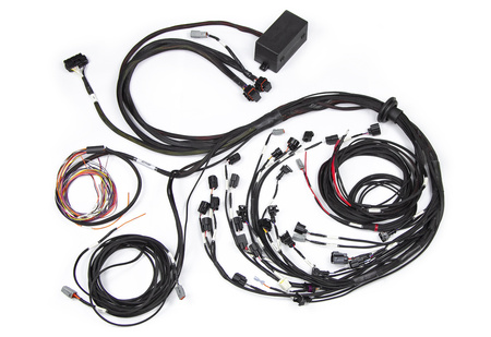Haltech Elite 2500 Ford Falcon BA/BF Barra 4.0 Termický postroj - HT-141388