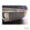 Intercooler Forge pro Renault Megane RS250/265/275 - FMINTMRS