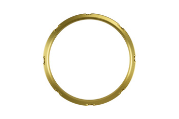 Turbosmart Wastegates ventil GenV WG45/50 Actuator and ProPort Collar Gold