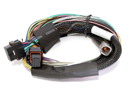 Haltech Elite 2500 + Basic Uni Wire-in Harness Kit 2,5 m - HT-151302