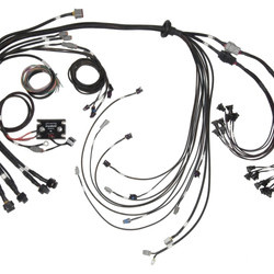 Haltech Elite 2500 &amp; REM 16 GM SBC/BBC Pouze termínový svazek - HT-142005