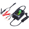 Nabíječka pro Skyrich Li-Ion 12V baterii