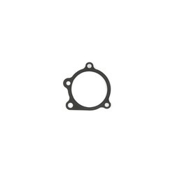 Těsnění hlavy Cometic WATER PUMP GASKET .060" AFM