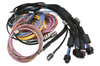 Haltech Nexus R5 + sada univerzálních kabelových svazků - 2,5 m - HT-195200