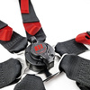 Bezpečnostní pásy RRS R6 LIGHT EVO - HANS FIA Ultralight - 6-bodové 2/2&quot;