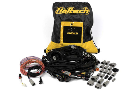 Haltech Uni V8 Term Engine Harness pro Nexus R5 VCU - HT-186200
