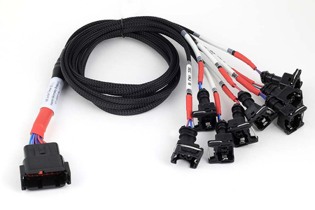 Haltech Nexus V8 Junior Timer (EV1)Přerušení sekundárního vstřikovače - HT-186001