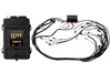 Haltech Elite 2500 GM GEN III LS1 non DBW Term Harn Kit EV1 - HT-151360