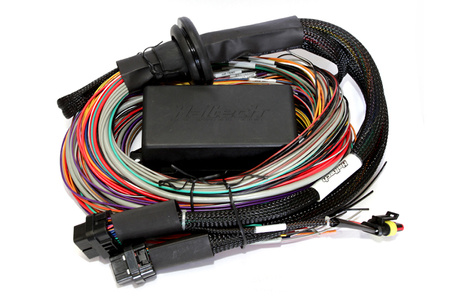 Haltech Elite 2500 + Premium Uni Wire-in Harn Kit 5,0m (16?) - HT-151305