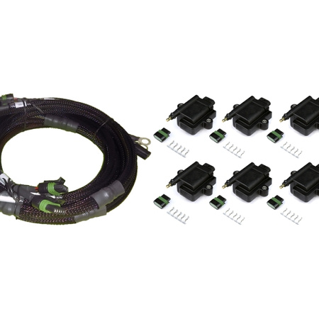 Sada 8kanálového Hi Output zapalování a svazku zapalovacích cívek Haltech Ford - HT-130313