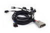 Haltech Nexus Rebel LS - Vstřikovací svazek Multec 2 - HT-186503