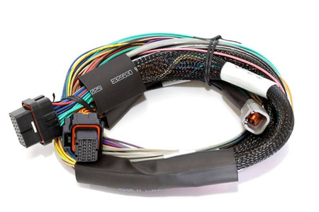 Haltech Elite 1500 - 2,5 m (8 stop) Basic Uni Wire-in Harn pouze