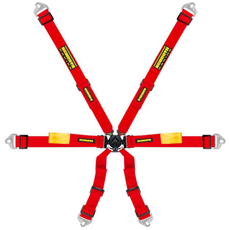 Pásy Schroth Enduro 2x2