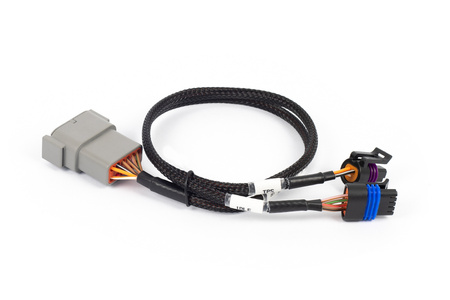 Haltech Nexus Rebel LS - kabelová škrticí klapka + dílčí svazek IAC - HT-186504