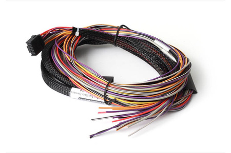 Pouze pomocný vstupně-výstupní svazek Haltech Platinum PRO - 2,5 m/8 stop - HT-040003
