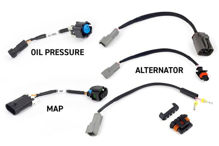 Haltech ECU Nexus Rebel LS Gen IV do LS od GM